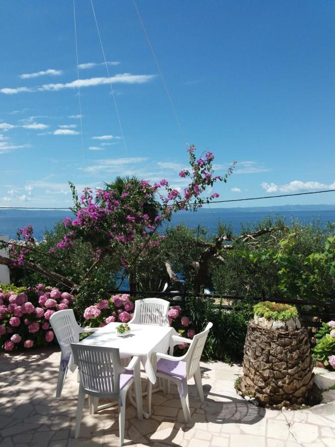Apartment Hortenzija Baška Voda Esterno foto