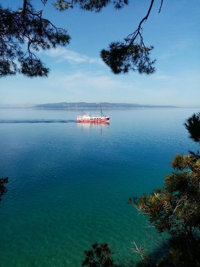 Apartment Hortenzija Baška Voda Esterno foto