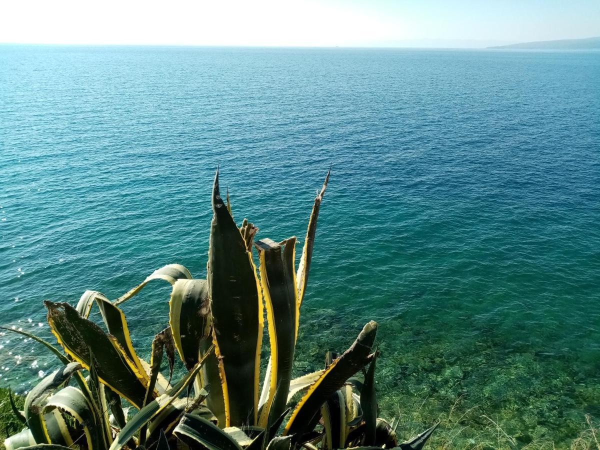 Apartment Hortenzija Baška Voda Esterno foto