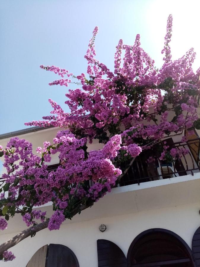 Apartment Hortenzija Baška Voda Esterno foto