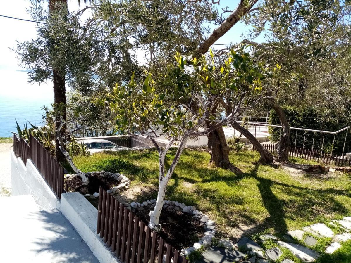 Apartment Hortenzija Baška Voda Esterno foto