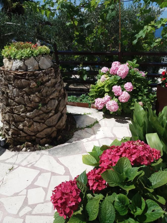Apartment Hortenzija Baška Voda Esterno foto